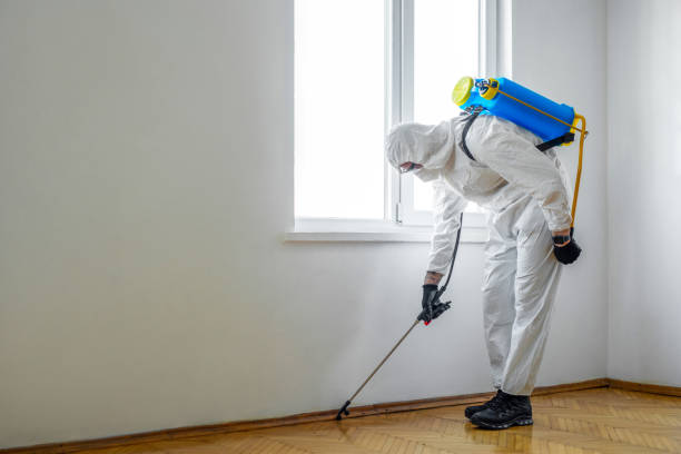 Best Termite Control Services  in Richland, PA