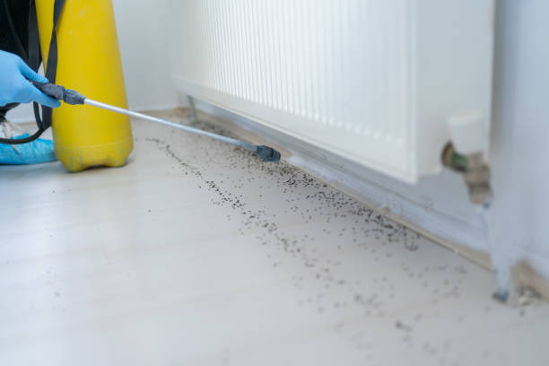 Best Pest Removal Services  in Richland, PA