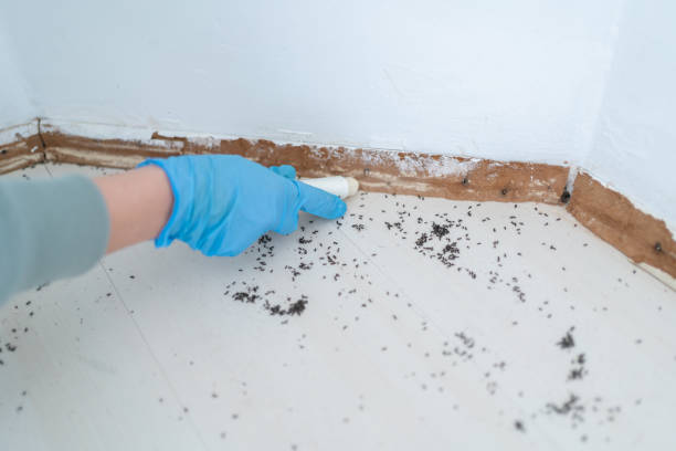 Best Best Pest Control Companies  in Richland, PA